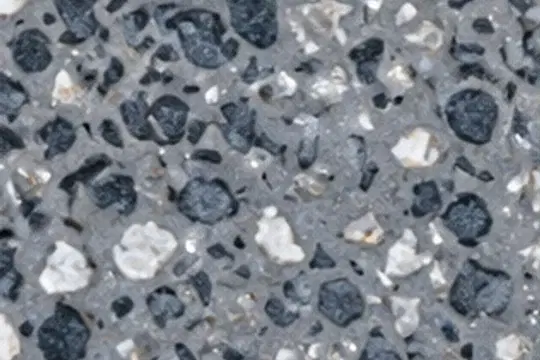 Dalmation 10 exposed aggregate top-down sample