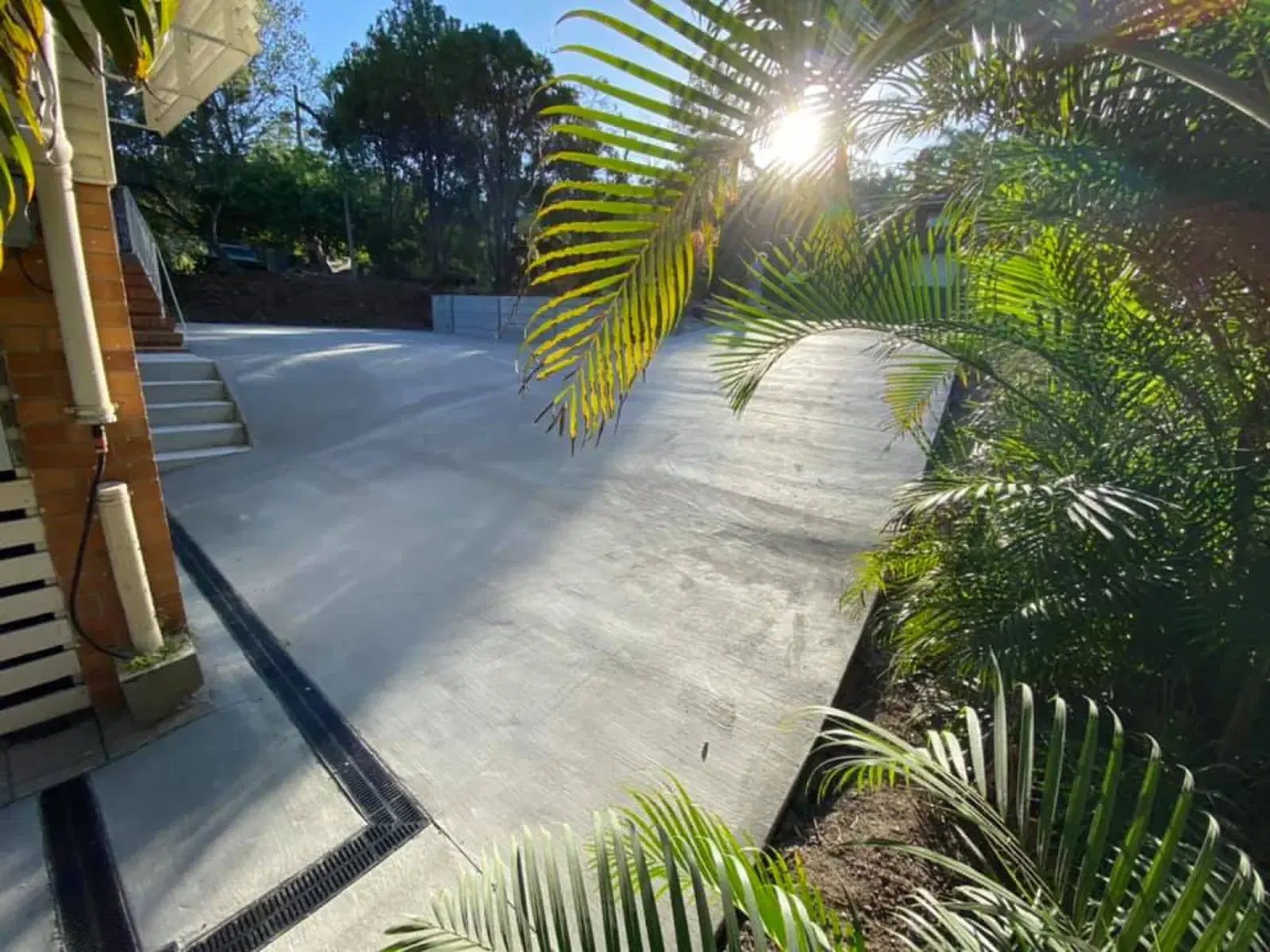 Plain concrete driveway formed around established residential landscaping